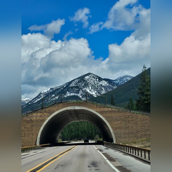 TBD 4:20pst LULULEMON SHOW LIKE 2 BE NOTIFIED LIVE SHOW LISTING - Picture 15 of 16